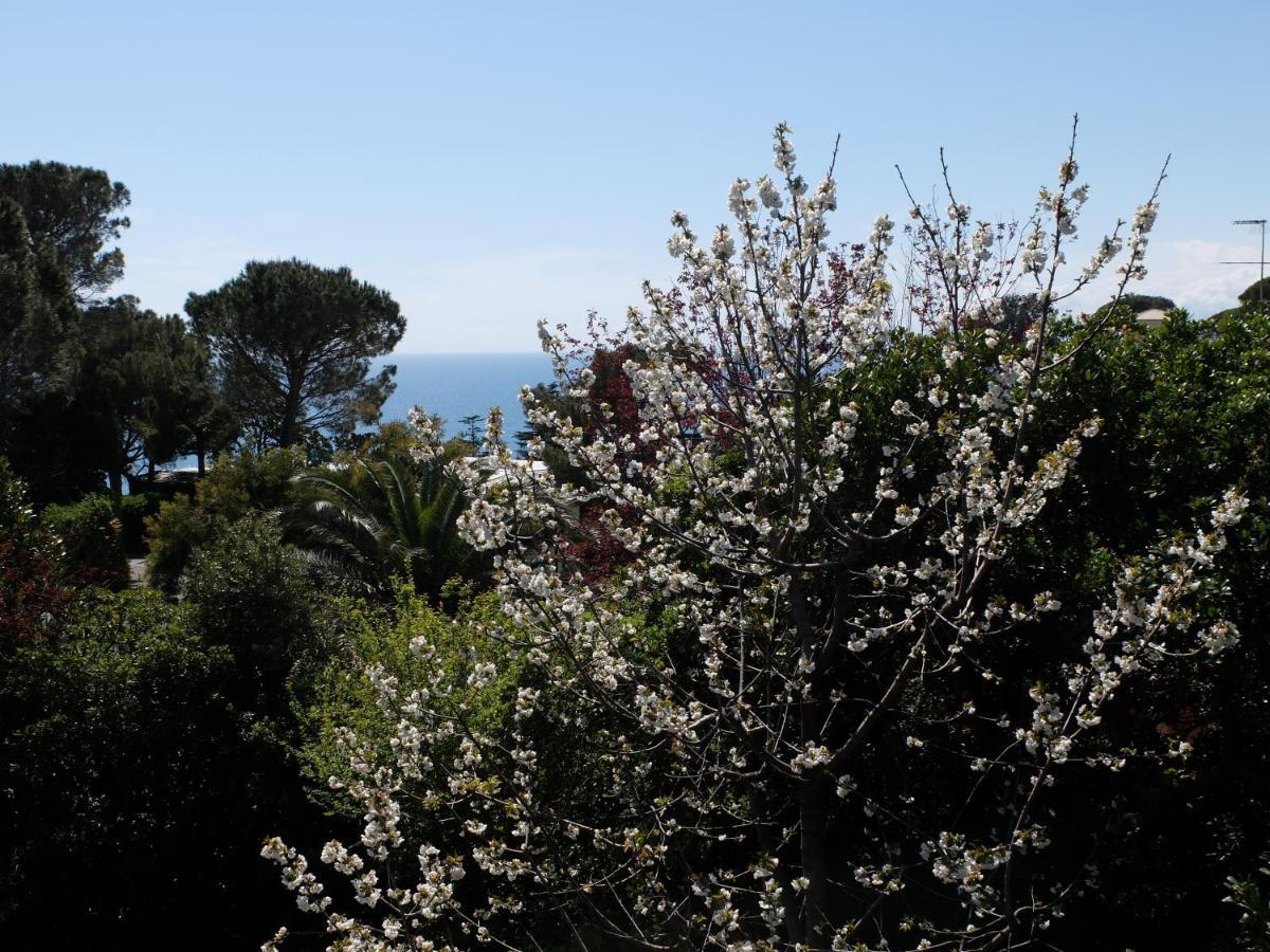 B&B Verde Sul Mare Arenzano Bagian luar foto